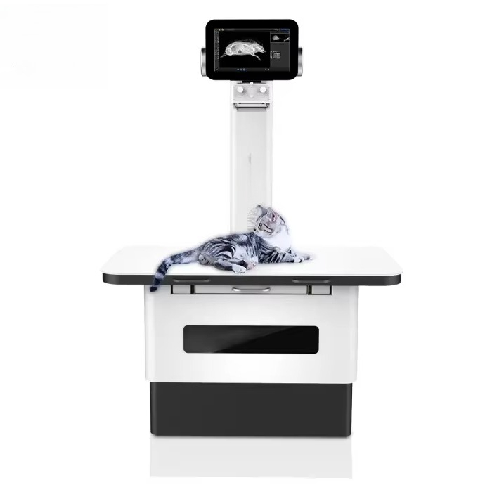 Veteriner teşhis görüntülemesi - Photography X Ray incelemesi ve fiyatı